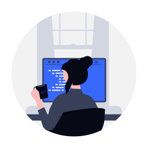 Web development
